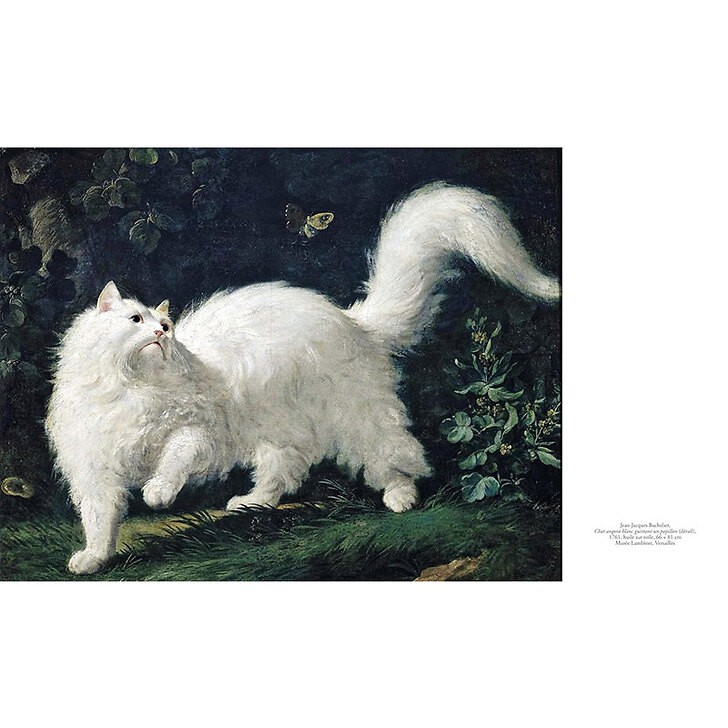 White Angora Cat, Jean-Jacques Bachelier, 1761